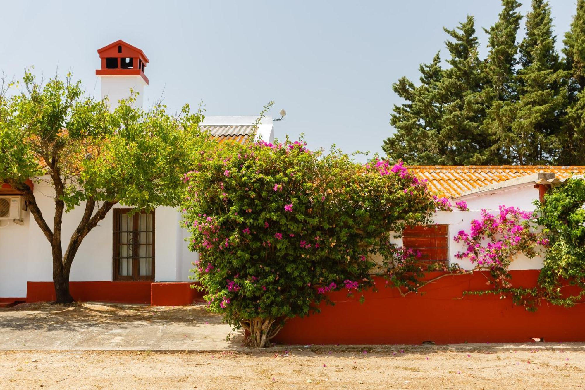 Casa Rural Con Piscina Cerca Cadiz Y Playas Cádiz Buitenkant foto